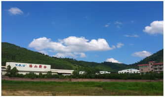 歐博企業(yè)管理咨詢 中國制造業(yè)管理咨詢的領軍者